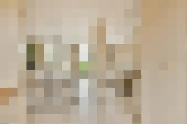 Zuiderven 4 Zaandam thumbnail 10