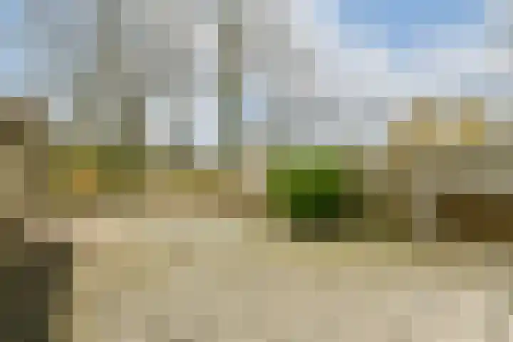 Zuiderven 4 Zaandam thumbnail 4