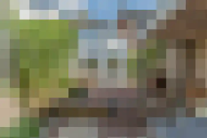 Zuiderwal 11 Culemborg thumbnail 26