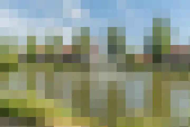 Zuiderwal 11 Culemborg thumbnail 31