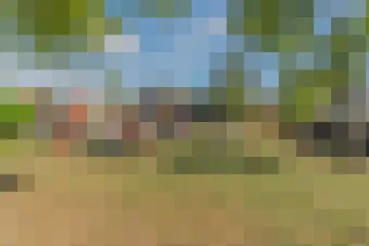 Zuiderwal 11 Culemborg thumbnail 33