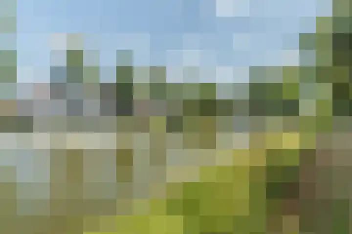 Zuiderwal 11 Culemborg thumbnail 4