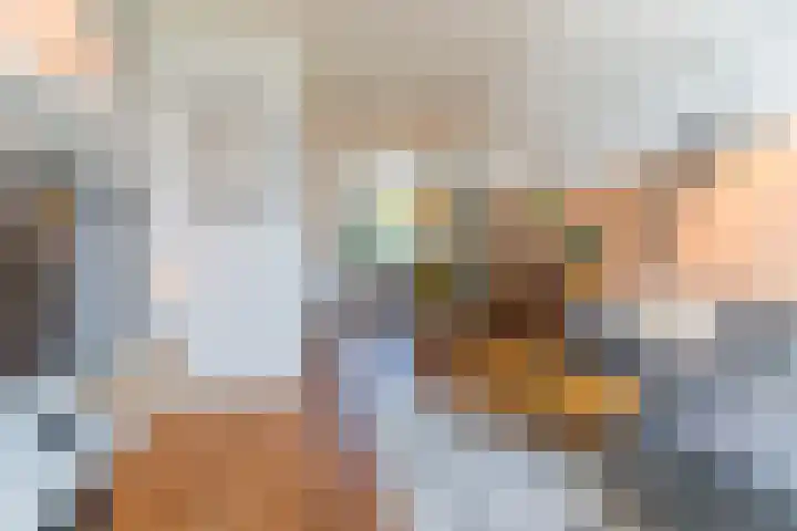 Zuiderwal 11 Culemborg thumbnail 7