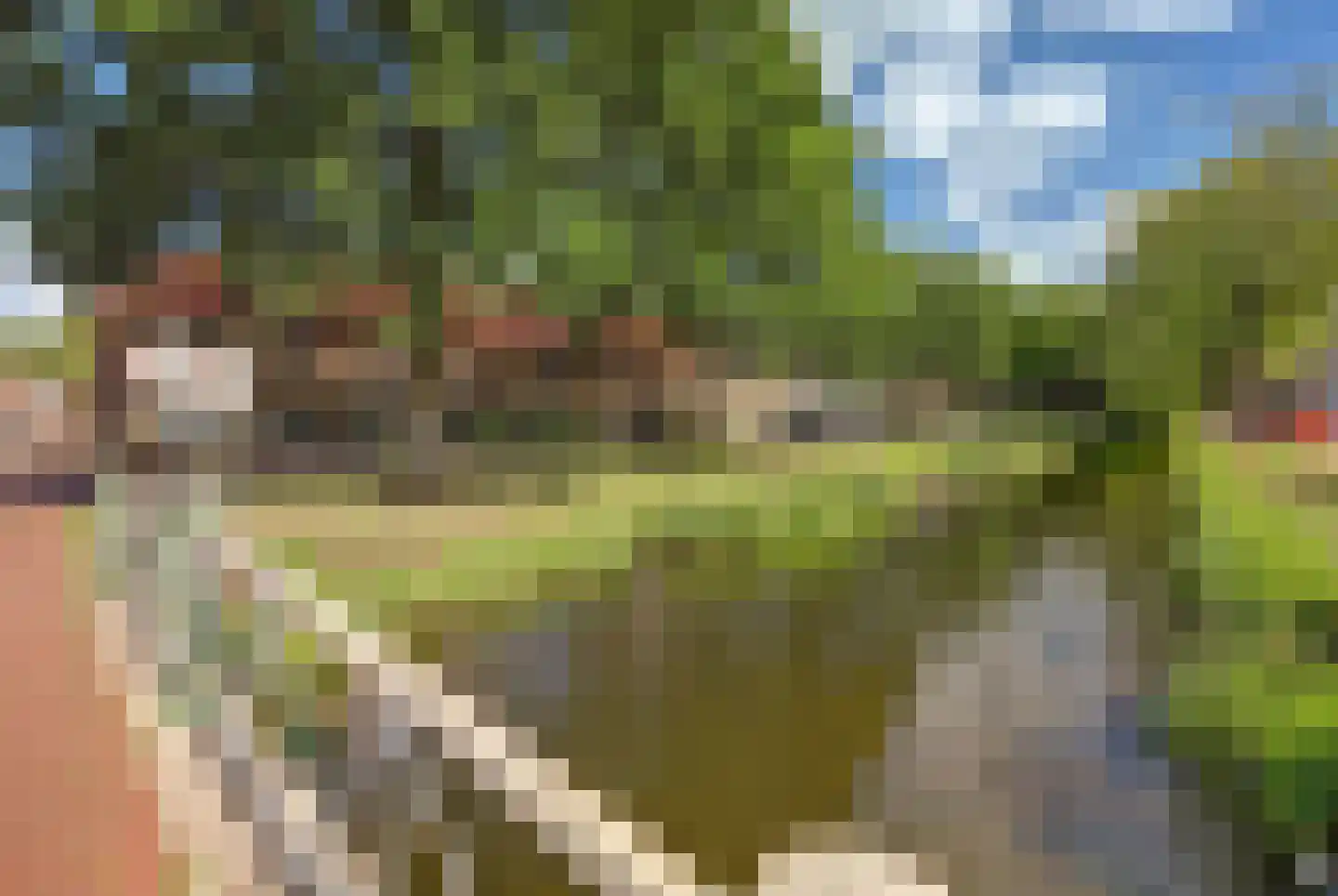Zuiderwal 16 Lochem thumbnail 23
