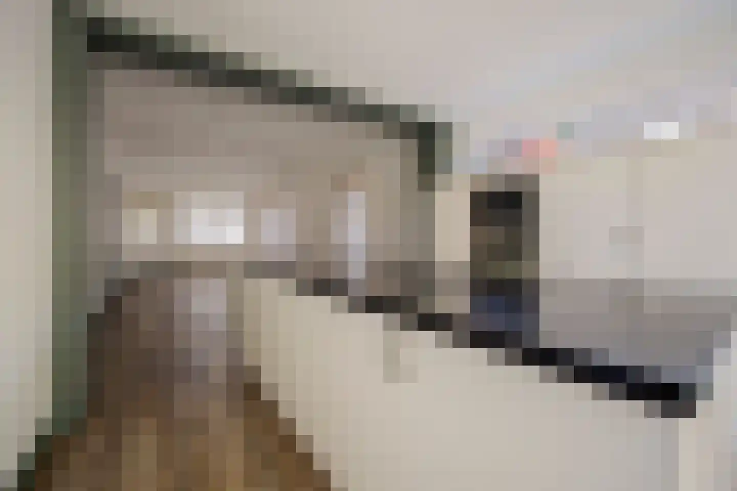 Zuiderwal 16 Lochem thumbnail 8