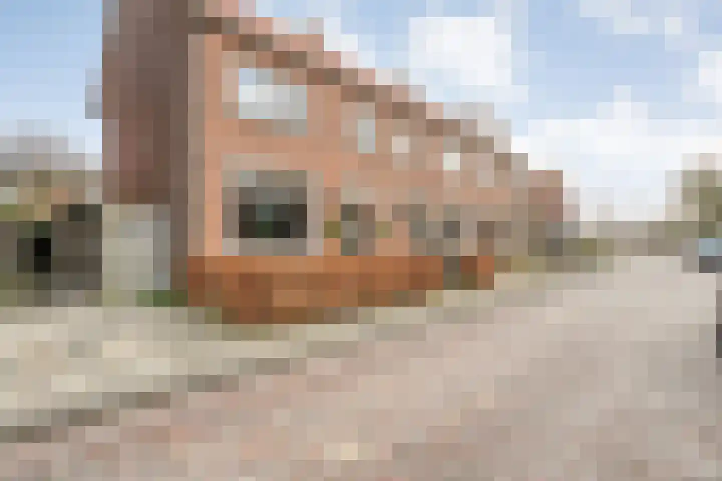 Zuiderwalstraat 8 Blokzijl thumbnail 13