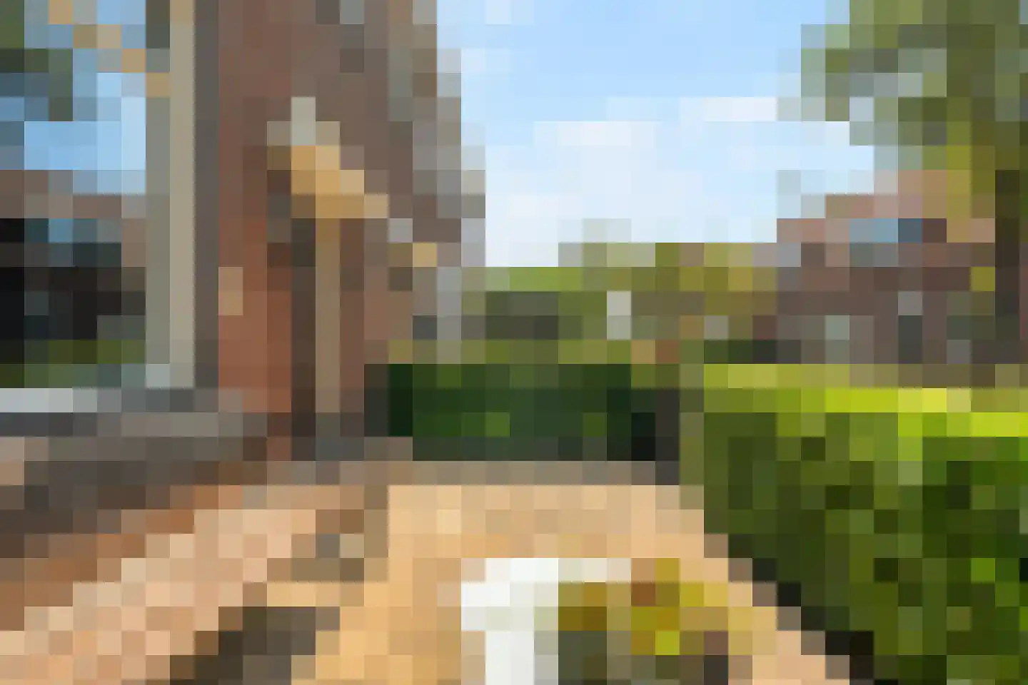 Zuiderwalstraat 8 Blokzijl thumbnail 14