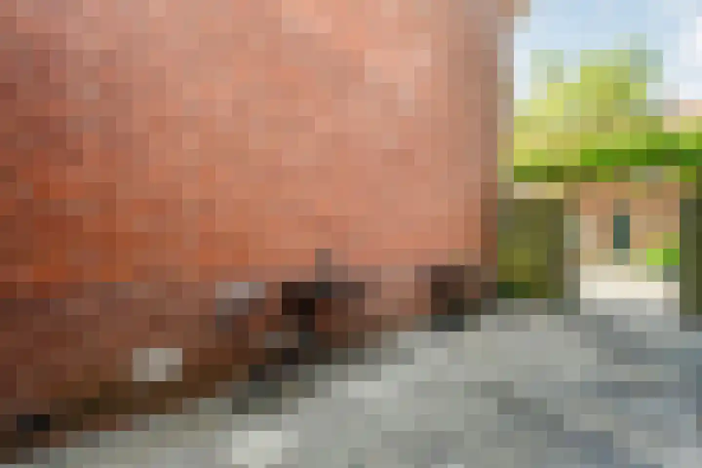 Zuiderwalstraat 8 Blokzijl thumbnail 16