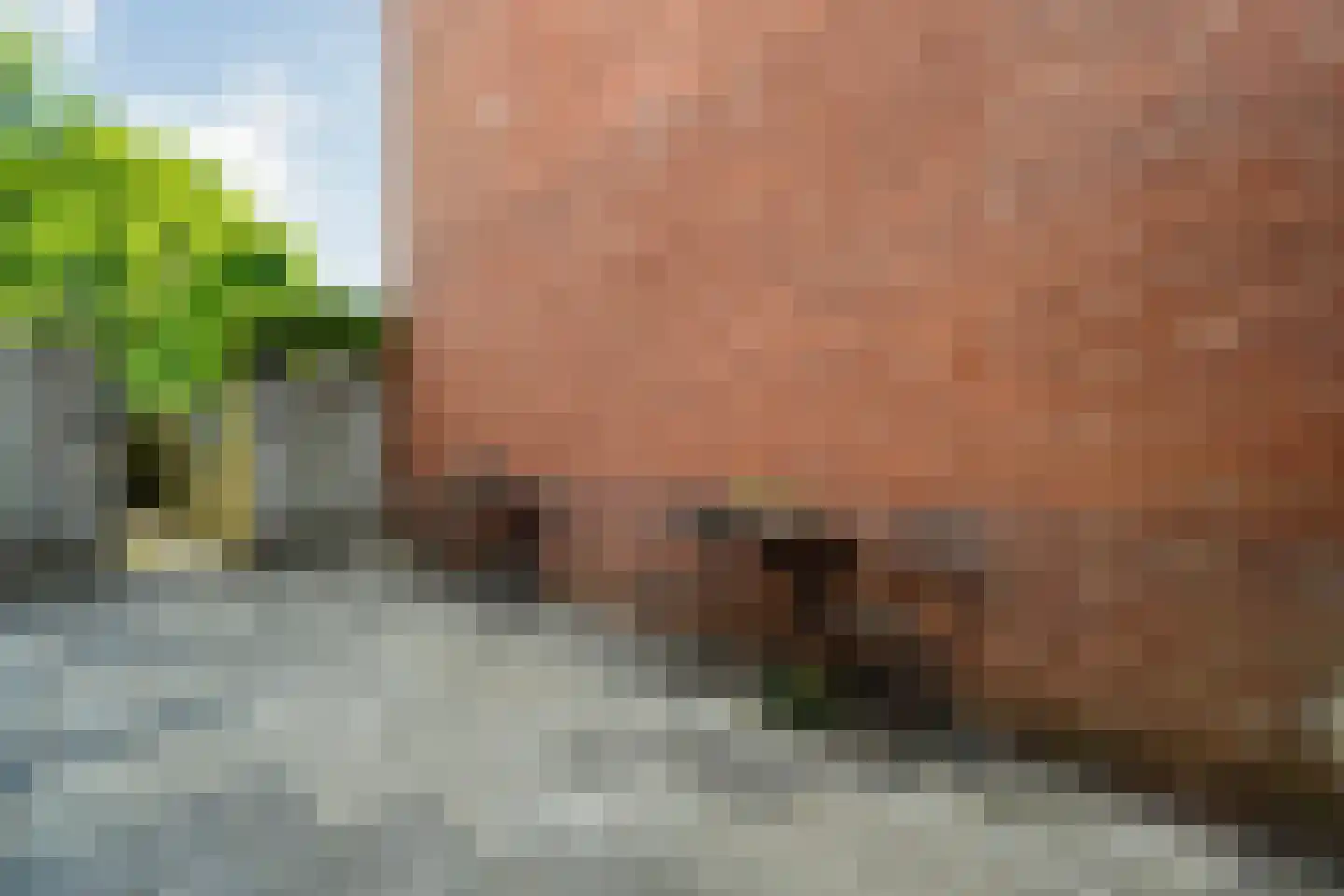 Zuiderwalstraat 8 Blokzijl thumbnail 17