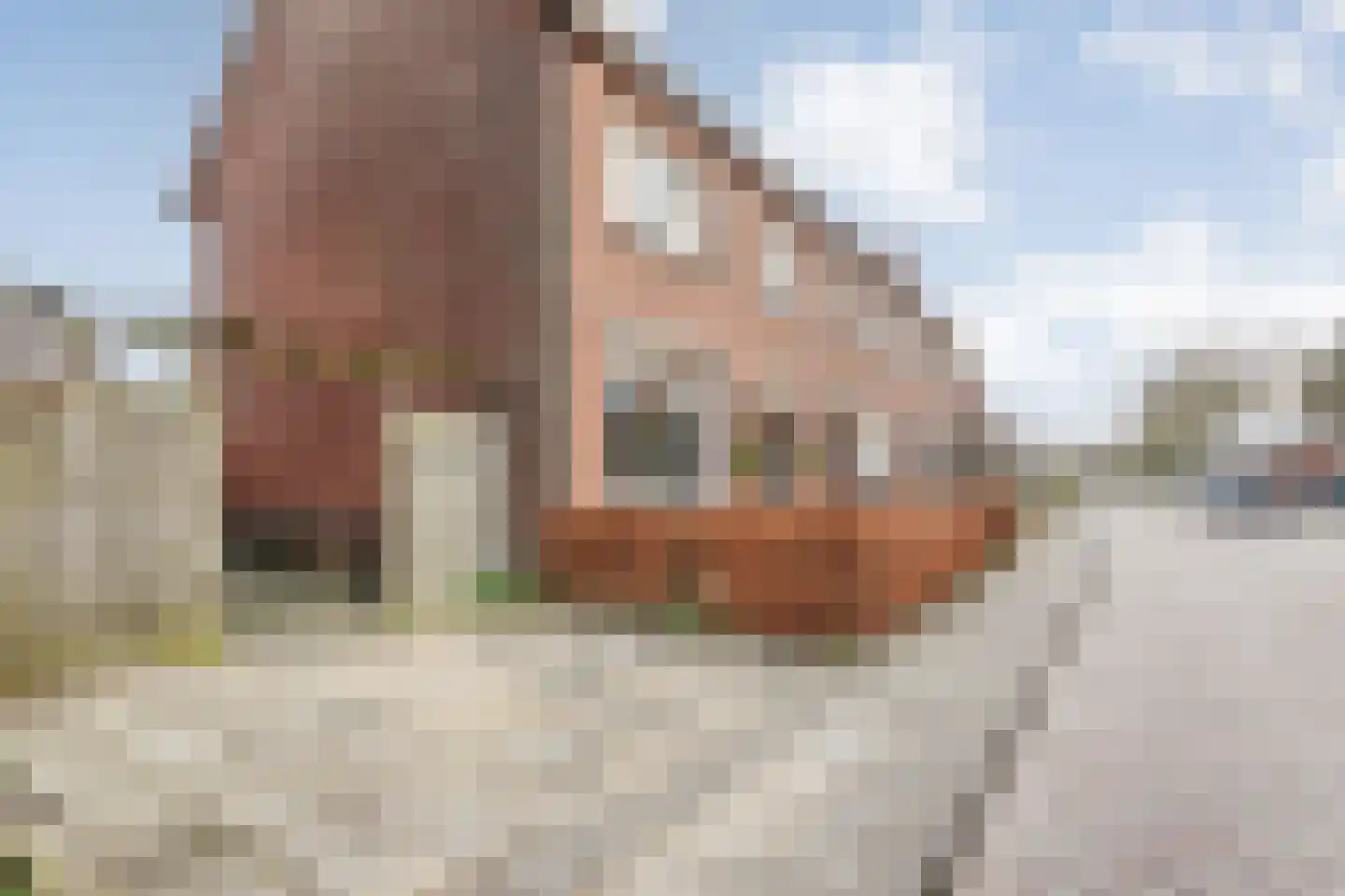 Zuiderwalstraat 8 Blokzijl thumbnail 20