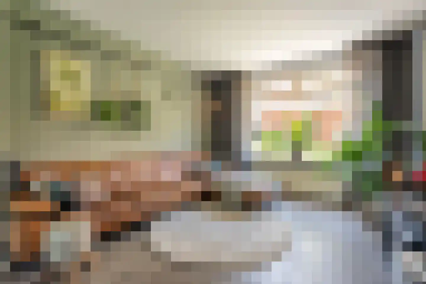 Zuiderwalstraat 8 Blokzijl thumbnail 21