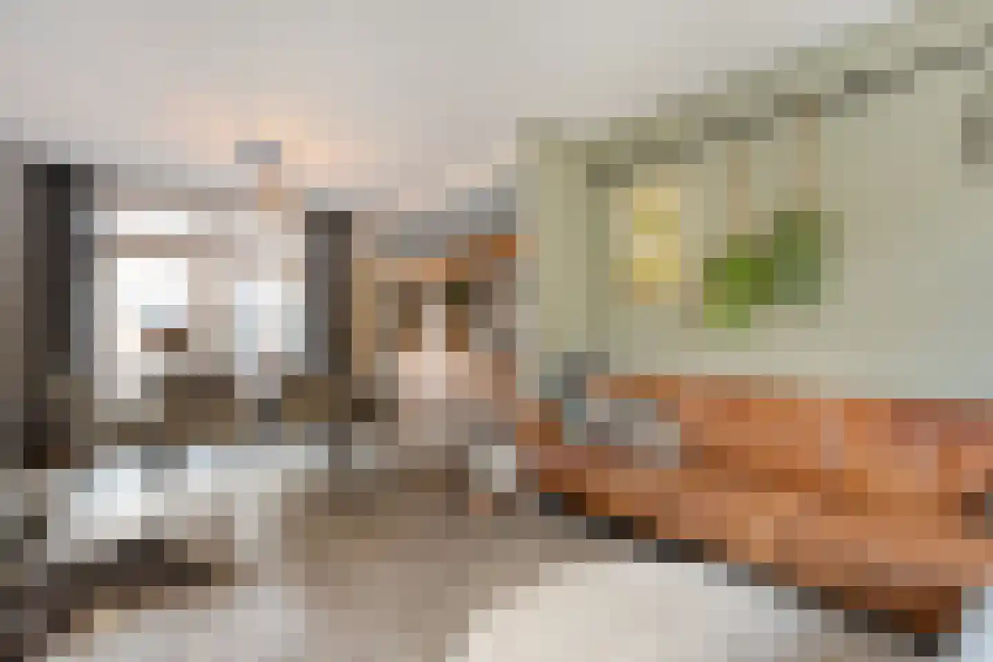 Zuiderwalstraat 8 Blokzijl thumbnail 25