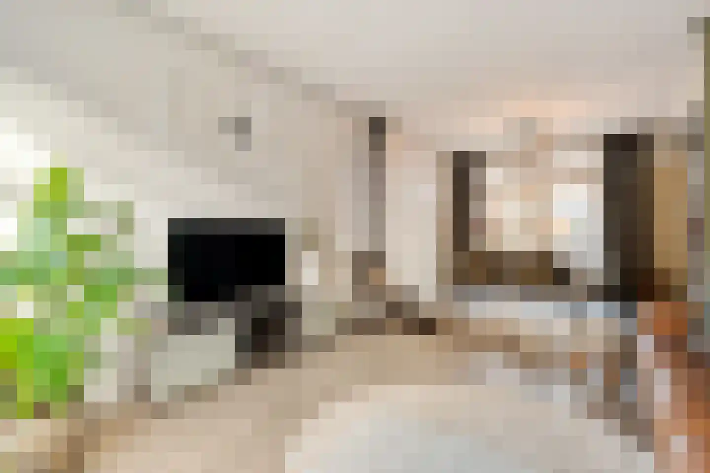 Zuiderwalstraat 8 Blokzijl thumbnail 26
