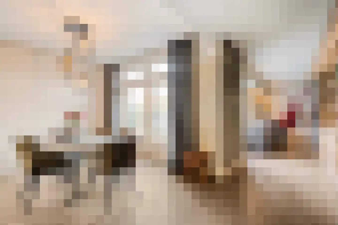 Zuiderwalstraat 8 Blokzijl thumbnail 28
