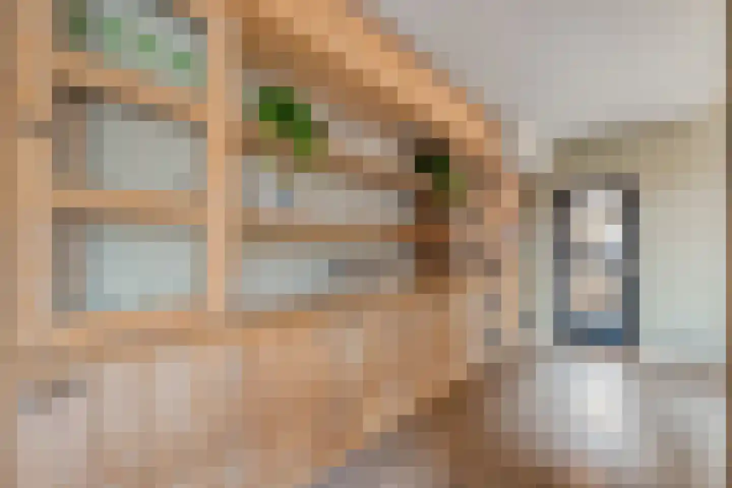Zuiderwalstraat 8 Blokzijl thumbnail 31