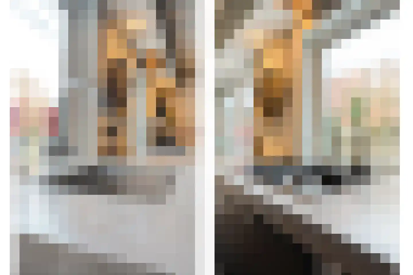 Zuiderwalstraat 8 Blokzijl thumbnail 32