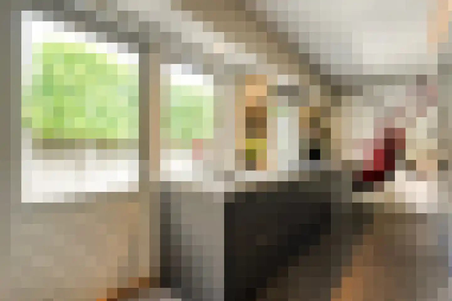 Zuiderwalstraat 8 Blokzijl thumbnail 33