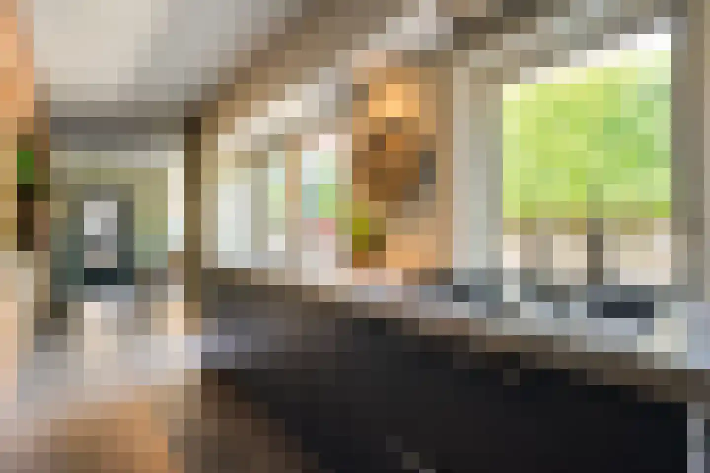 Zuiderwalstraat 8 Blokzijl thumbnail 34