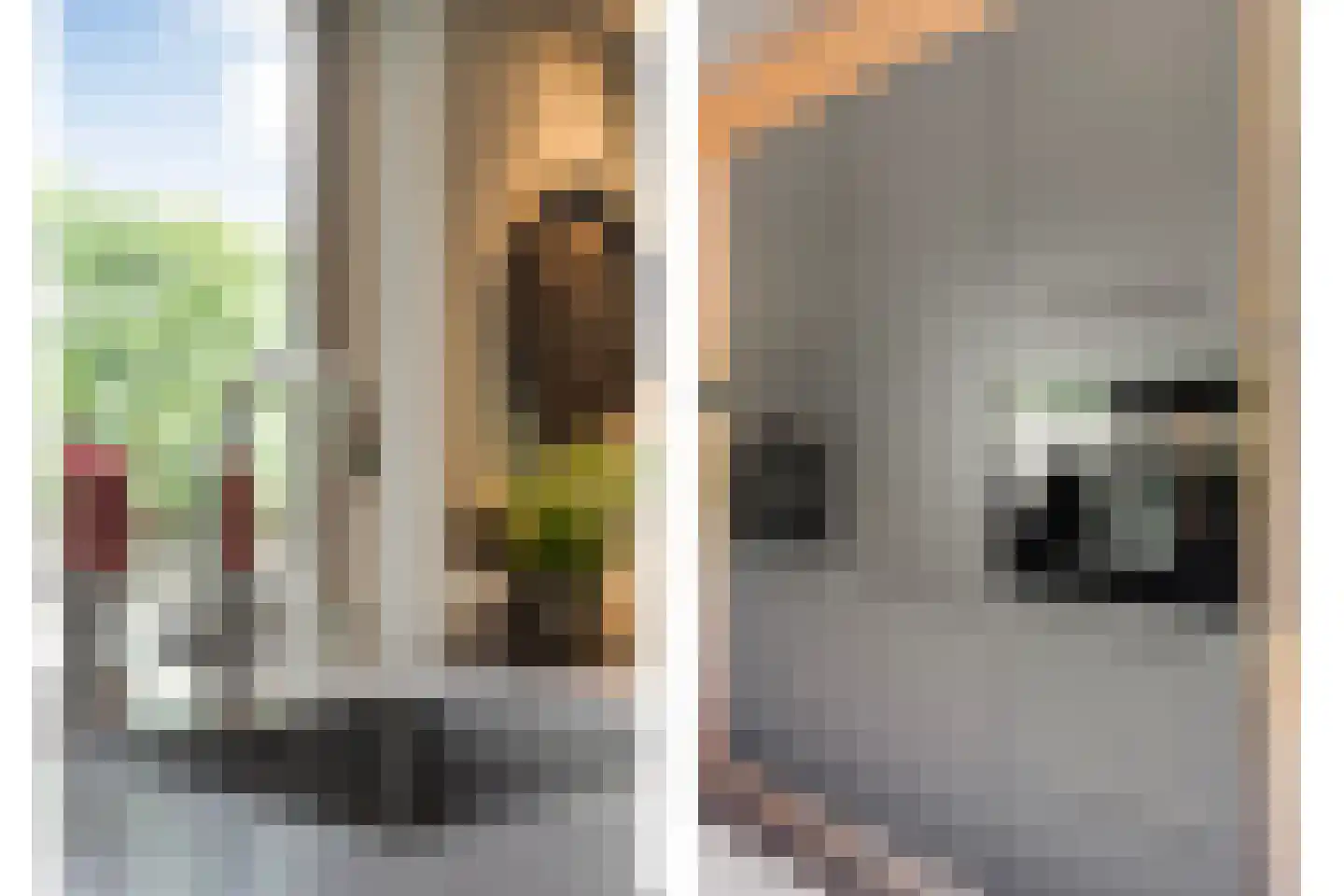 Zuiderwalstraat 8 Blokzijl thumbnail 36