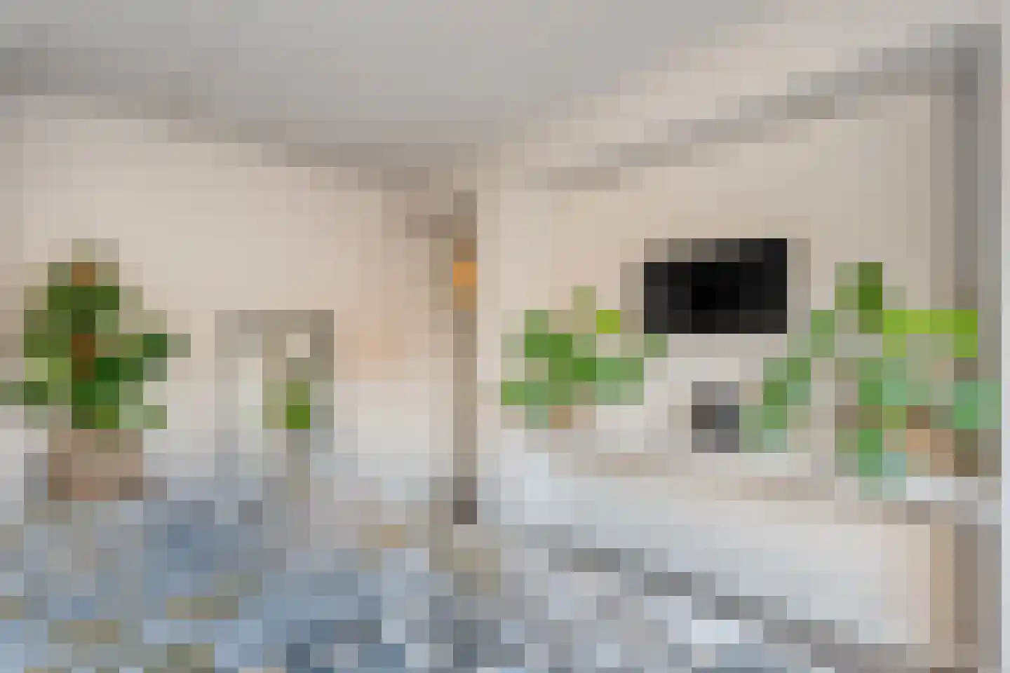 Zuiderwalstraat 8 Blokzijl thumbnail 37