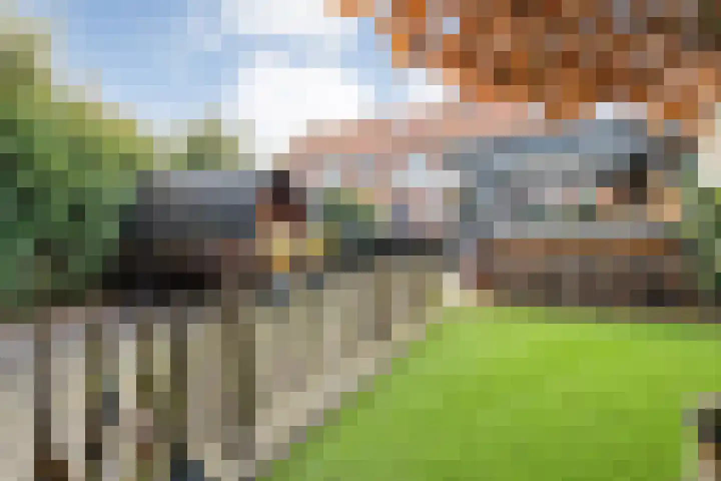 Zuiderwalstraat 8 Blokzijl thumbnail 4
