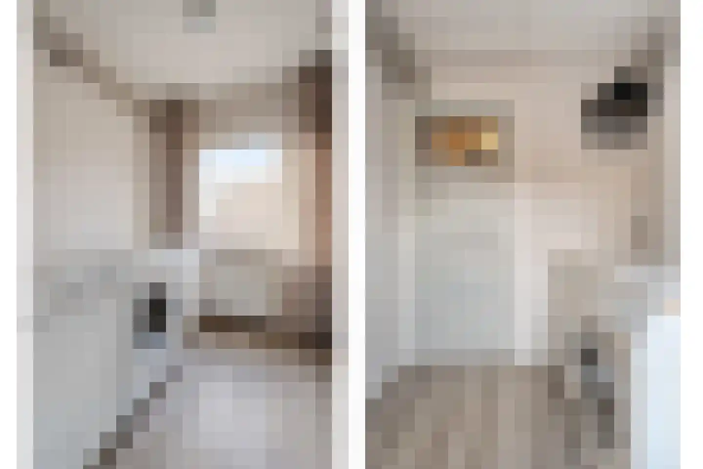 Zuiderwalstraat 8 Blokzijl thumbnail 43