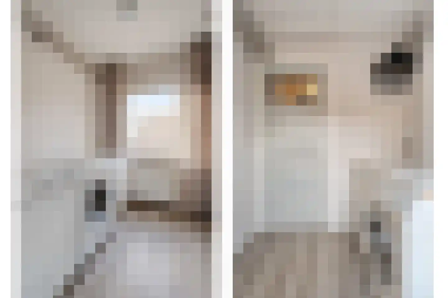 Zuiderwalstraat 8 Blokzijl thumbnail 45