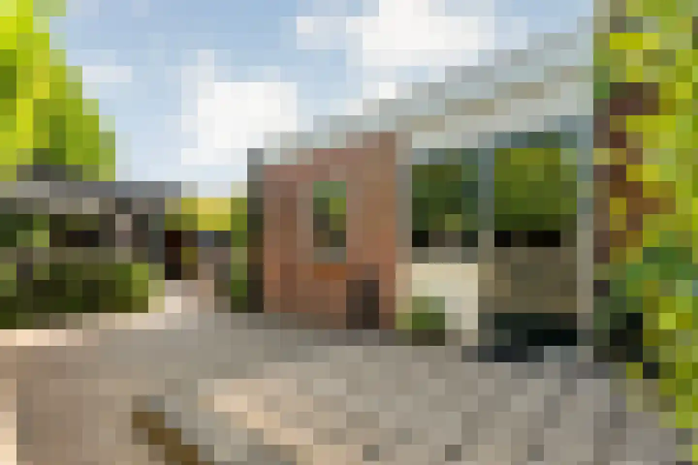 Zuiderwalstraat 8 Blokzijl thumbnail 58