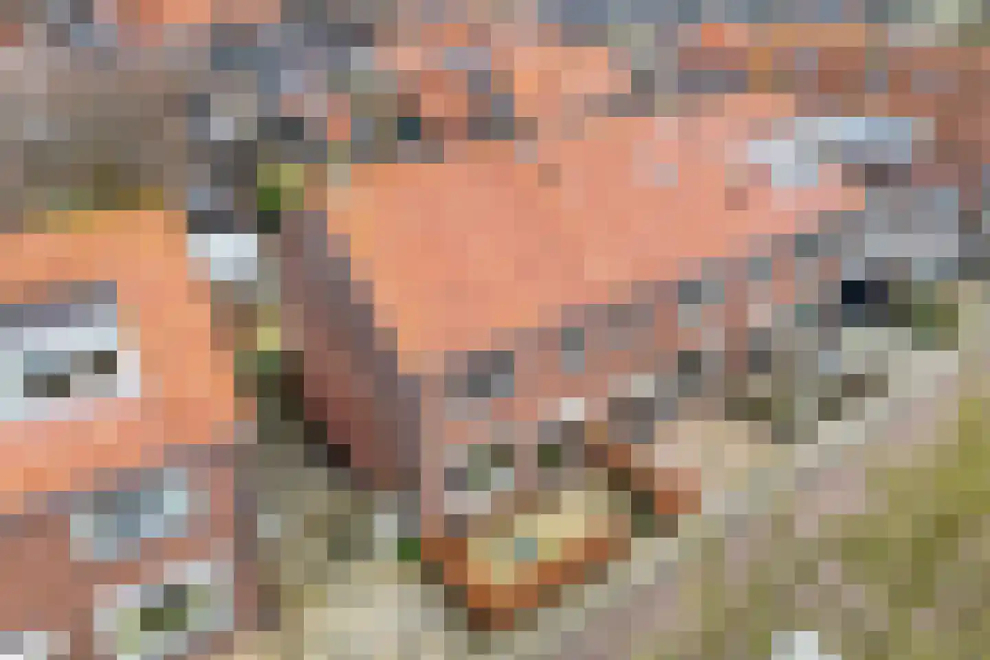 Zuiderwalstraat 8 Blokzijl thumbnail 6