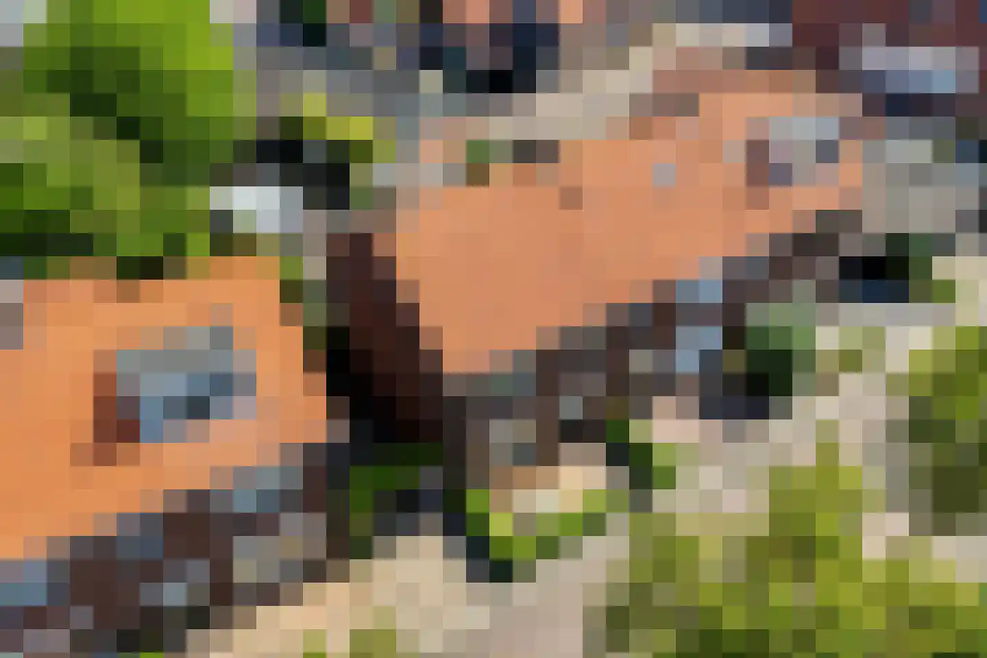 Zuiderwalstraat 8 Blokzijl thumbnail 6