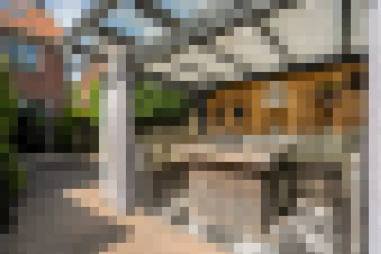 Zuiderwalstraat 8 Blokzijl thumbnail 60