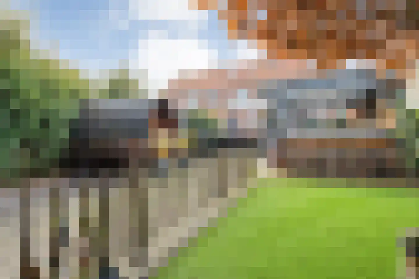 Zuiderwalstraat 8 Blokzijl thumbnail 61