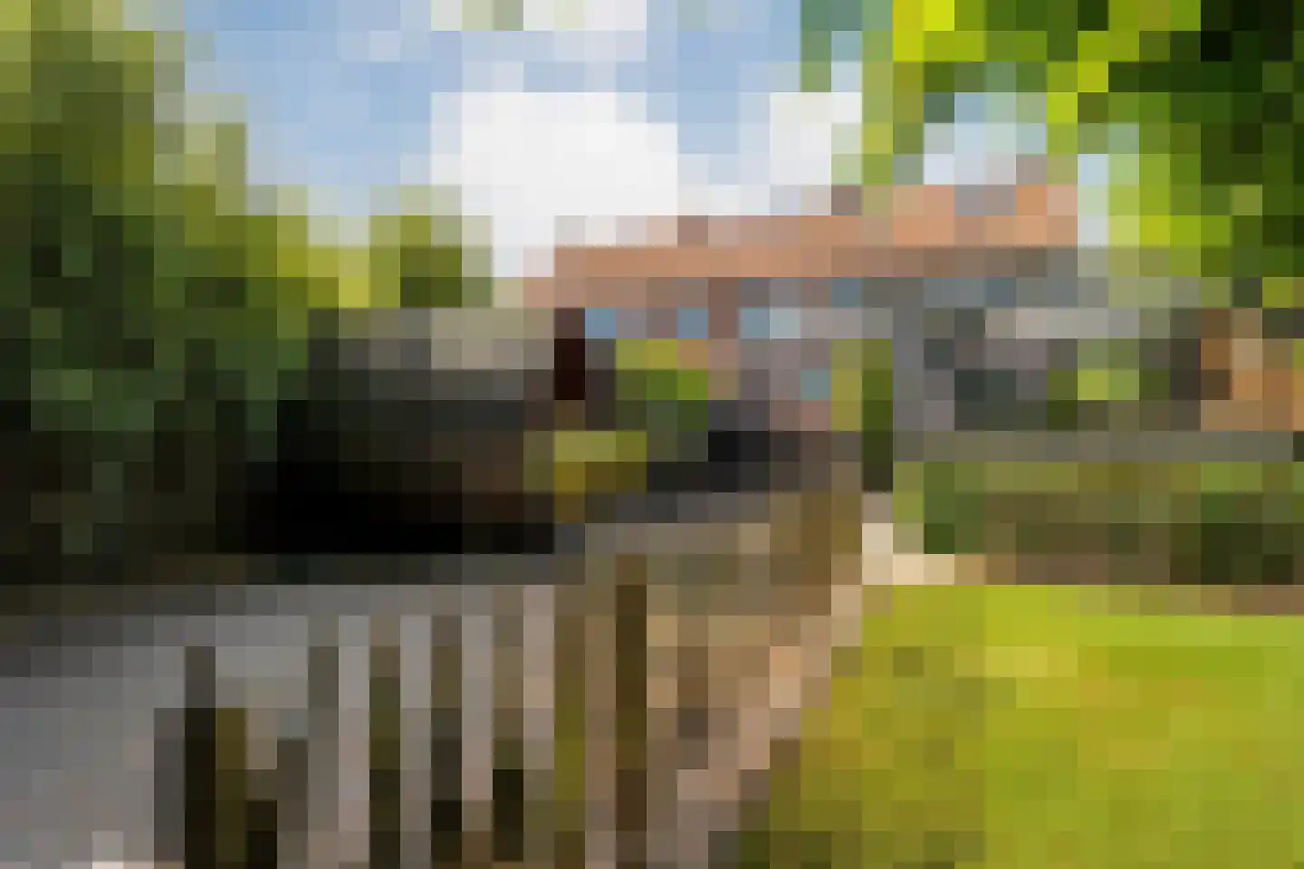 Zuiderwalstraat 8 Blokzijl thumbnail 64