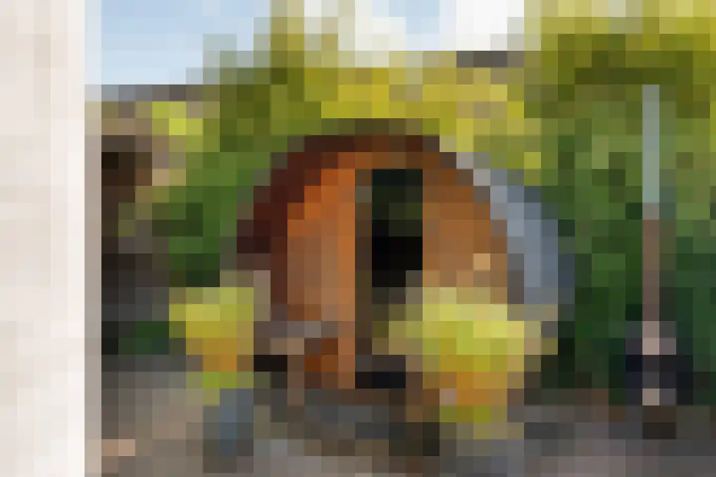 Zuiderwalstraat 8 Blokzijl thumbnail 65