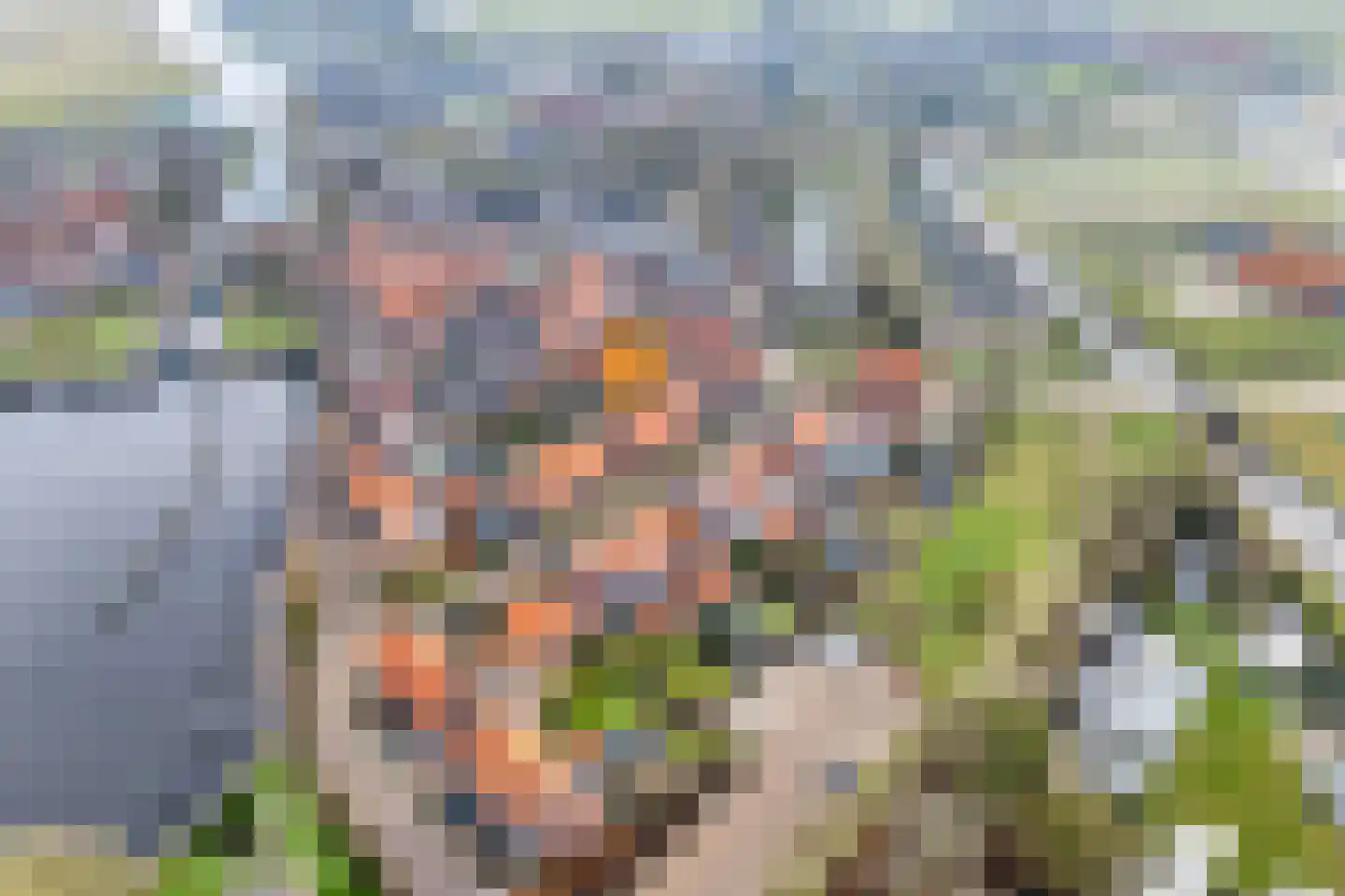 Zuiderwalstraat 8 Blokzijl thumbnail 7