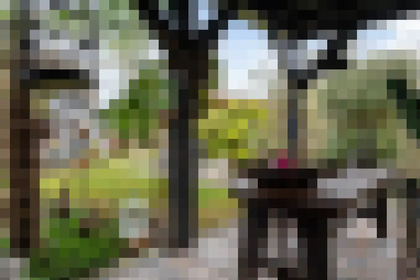 Zuiderweg 10 Hoogeveen thumbnail 35