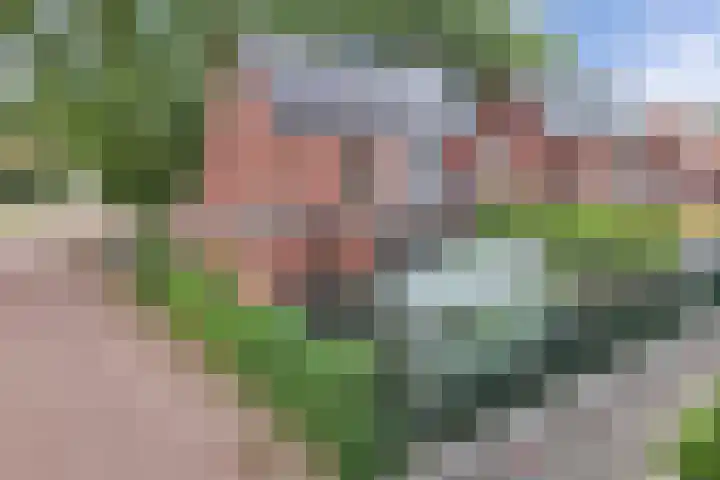 Zuiderweg 11 a Huizen thumbnail 25