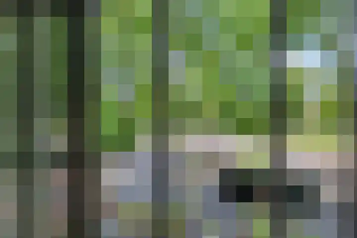 Zuiderweg 11 a Huizen thumbnail 29