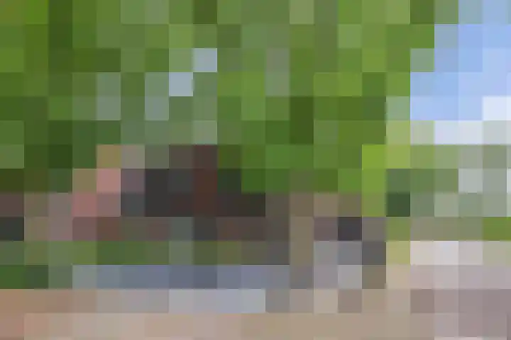 Zuiderweg 11 a Huizen thumbnail 43