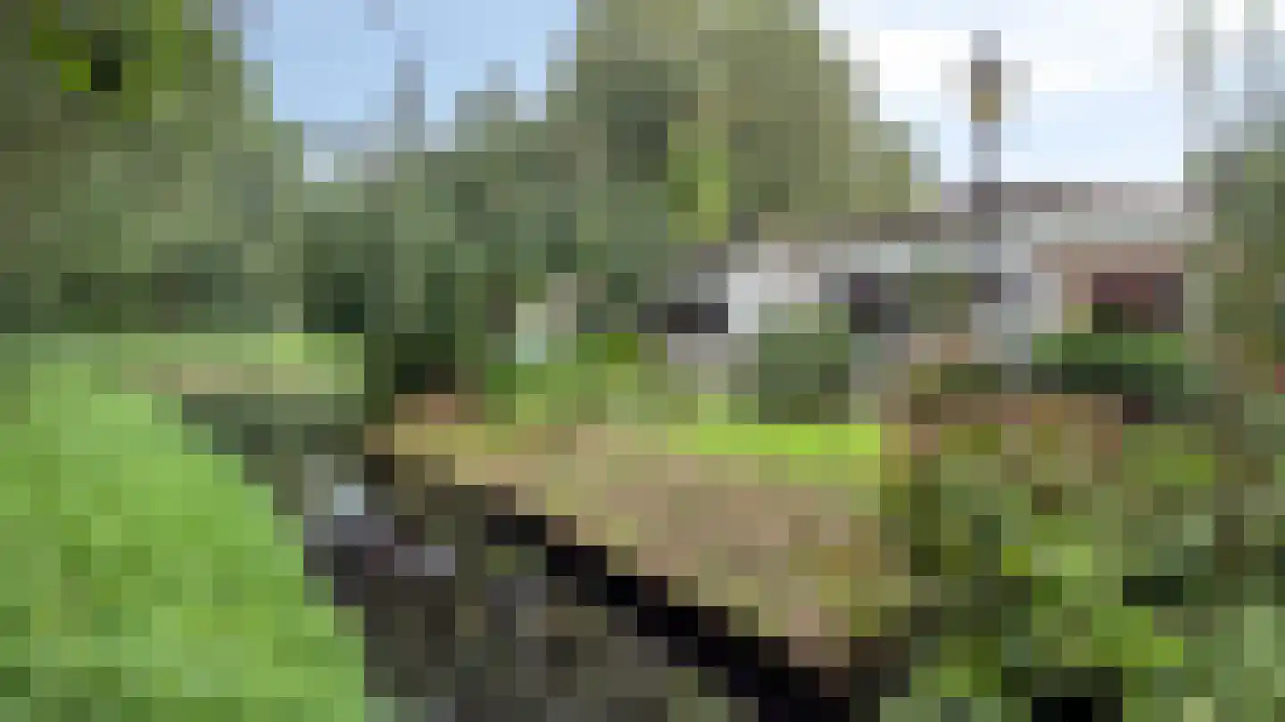 Zuiderweg 115 c Zuidoostbeemster thumbnail 16