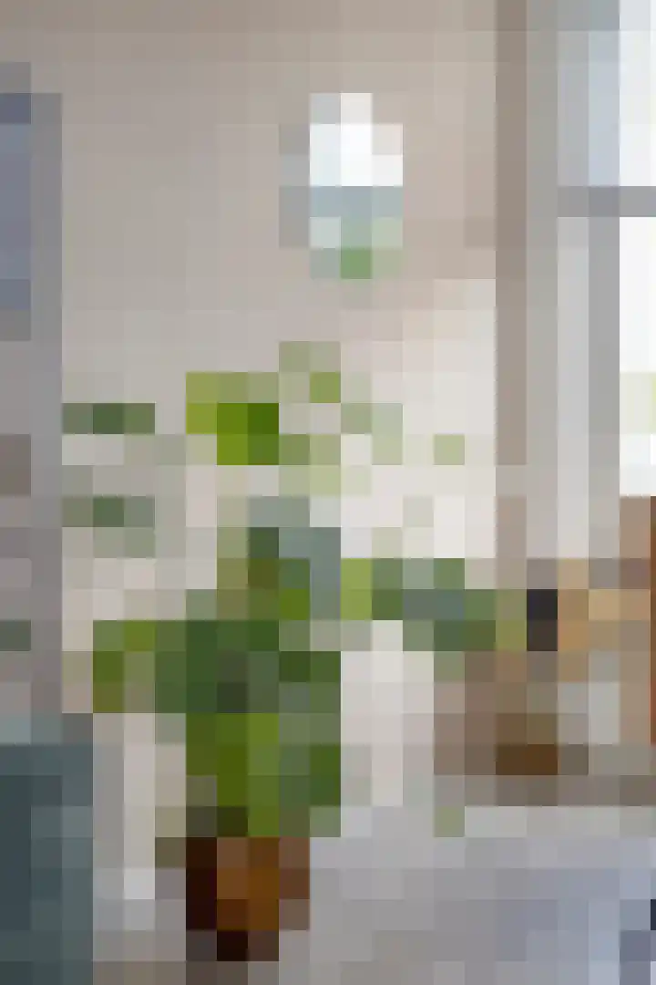 Zuiderweg 119 Groningen thumbnail 10