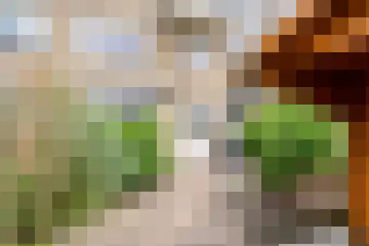 Zuiderweg 119 Groningen thumbnail 31