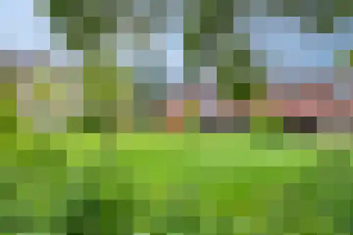 Zuiderweg 119 Groningen thumbnail 34