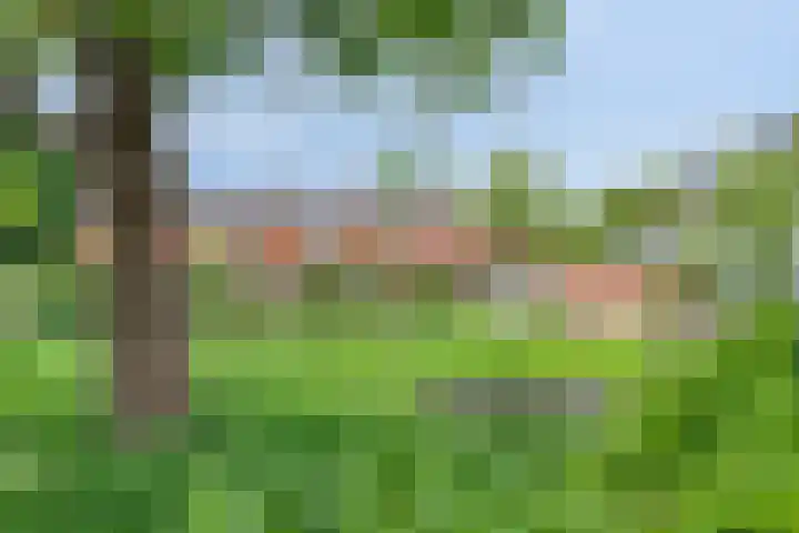 Zuiderweg 119 Groningen thumbnail 35