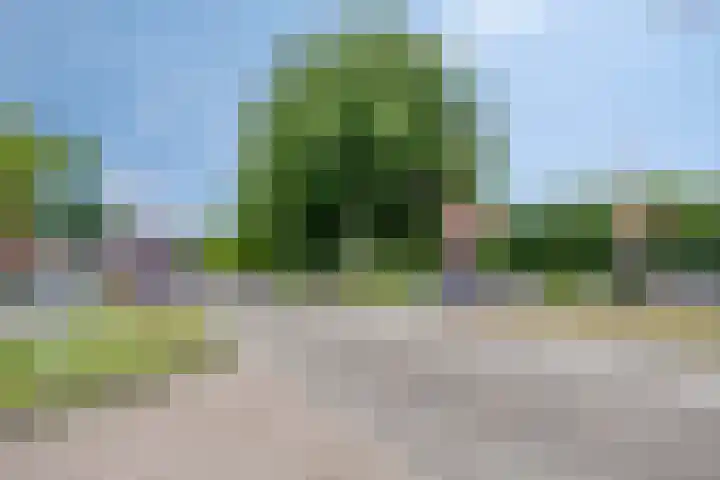 Zuiderweg 119 Groningen thumbnail 36
