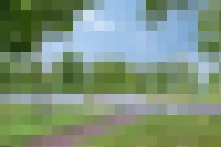 Zuiderweg 119 Groningen thumbnail 39