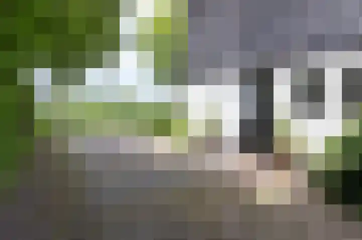 Zuiderweg 12 Opperdoes thumbnail 13
