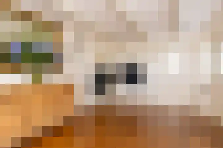 Zuiderweg 12 Opperdoes thumbnail 14