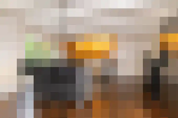 Zuiderweg 12 Opperdoes thumbnail 17