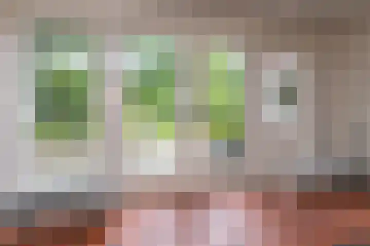 Zuiderweg 12 Opperdoes thumbnail 27